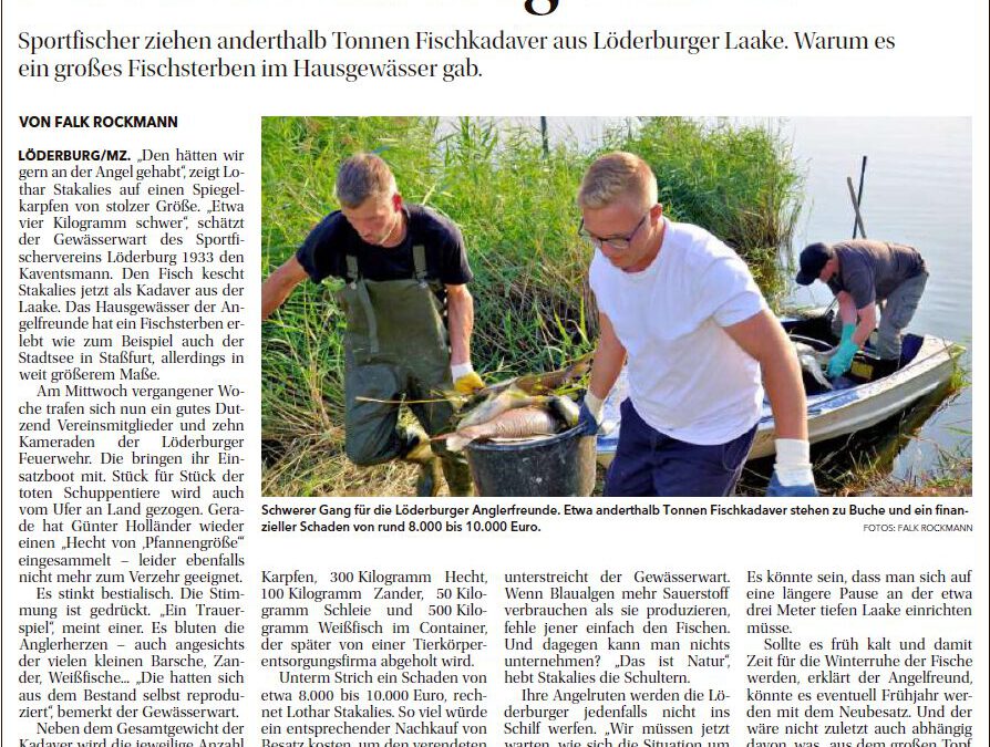 Neues aus der MZ vom 24.09.2024